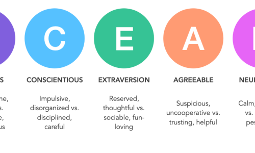 OCEAN Big 5 Personality Traits